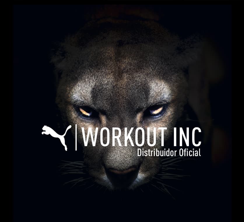 Workout Inc.
